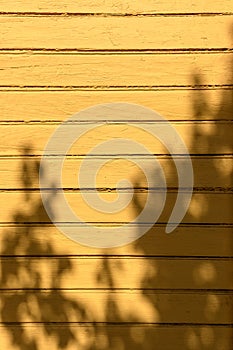 wall of old painted boards as a background, painted wood as a background in the spring sun 15