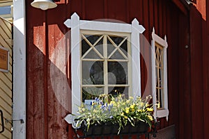 Wall of the old wooden house with windows and flowers. Dark red color, wooden texture.