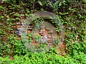 Wall overgrown, ancient brick wall, background, texture, old dilapidated brick wall overgrown with grass