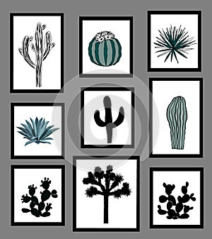 Wall pictures sat with black and white silhouettes of cactus, agave, and prickly pear. Vector illustration