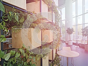 wall with plants in a modern office concept of ecology and green environment green office with tables,
