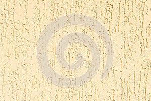 Wall of plaster bark beetle texture