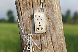 Wall plug on wooden pole