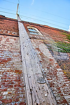 Wall of red brick building with green ivy plant and upward view of telephone pole and window