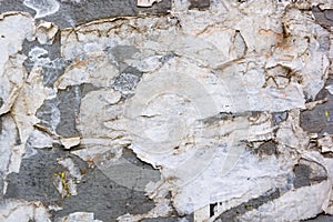 Wall with remains of paper posters