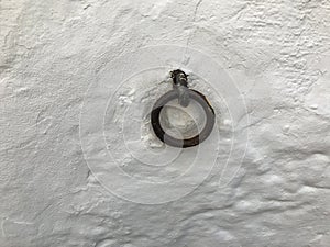 The wall and the ring to tie animals photo