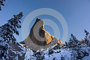 Wall of rock in winter close to Christmas Holiday with  pine tree