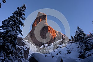 Wall of rock in winter close to Christmas Holiday with  pine tree