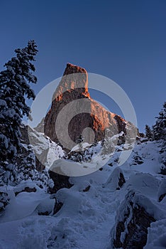 Wall of rock in winter close to Christmas Holiday with  pine tree
