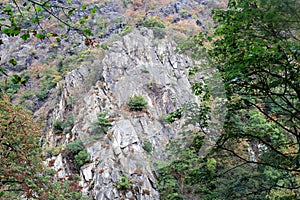 Wall of rocks in Valley of River Bode