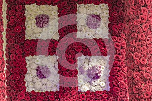 Wall of Rose Flowers - Decorated Display