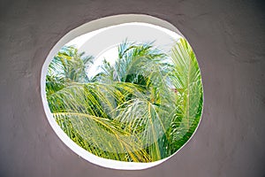 Wall with a round window and a view of palm trees