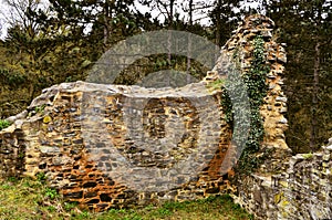 Wall ruins of the castle LibÃÂ¡tejn