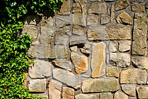 Wall of sandstone blocks overgrown with ivy 9