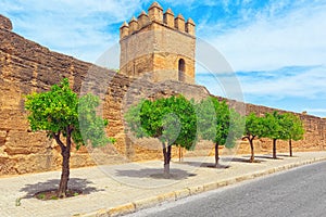 Wall of Seville Muralla almohade de Sevilla are a series of de photo