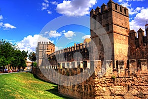 Wall of Seville Muralla almohade de Sevilla are a series of defensive walls surrounding the Old Town of Seville. photo