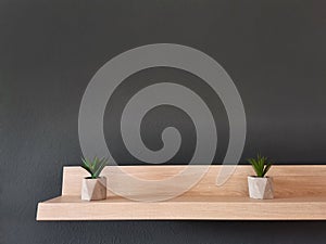 Wall shelf with succulents on dark grey background