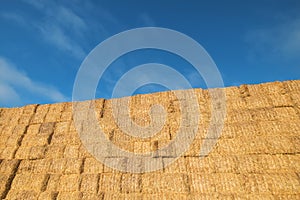 A wall of stacked haybales and blue sky