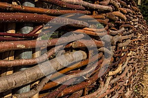 Wall of sticks woven together