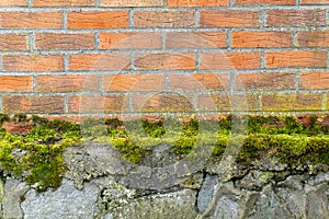 Wall of stone and brick, overgrown with moss