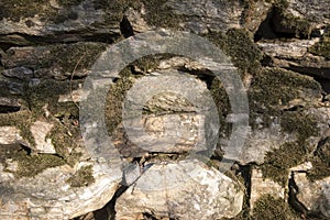 Wall of stone pieces with moss photo