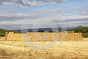 Wall of straw bales