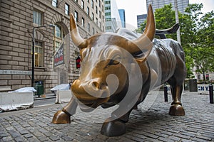 Wall Street Bull, Manhattan, New York City, USA