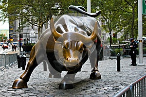 Wall Street Bull, Manhattan, NYC, NY