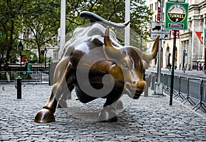 Wall Street Bull, Manhattan, NYC, NY