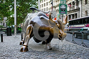 Wall Street Bull, Manhattan, NYC, NY