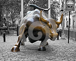 Wall Street Bull, Manhattan, NYC, NY