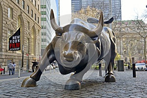 Wall Street Bull in New York City