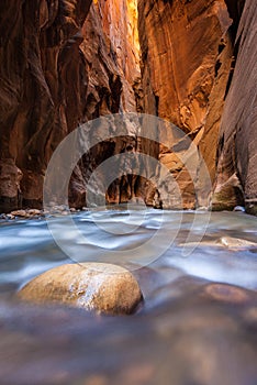 Wall street in the narrows trail, Zion national park, Utah