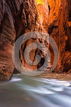 Wall Street, The Narrows, Zion National Park, Utah