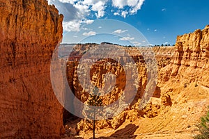 The Wall Street Trail in Bryce Canyon Ampitheater