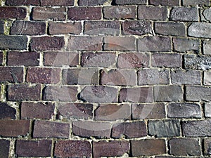 Wall surface made of burnt bricks