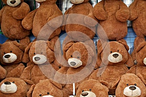 Wall of Teddy Bears