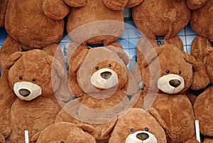 Wall of Teddy Bears
