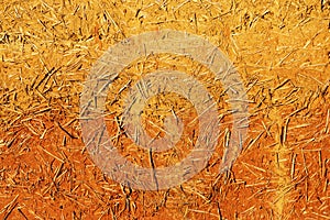 The wall texture of an adobe house made from barley straw and two kinds of clay.