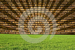 Wall, texture and grass