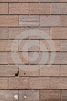 Wall Texture of red and pink big Bricks