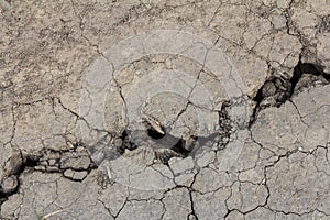 Wall texture soil dry crack pattern of drought lack of water of nature brown old broken background