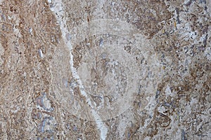 Wall of travertine with stone layers of different colors. Close up architecture macro photography. Creative wallpaper