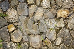 Wall of various large natural stones with small green vegetation. wall with moss. rough wall surface texture. gray, blue and white