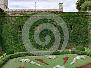 Wall view with windows covered with climbing plants