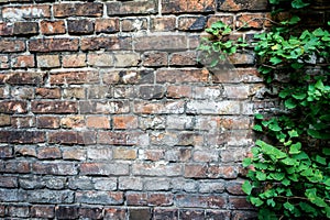 Wall of the Warsaw Ghetto, Poland