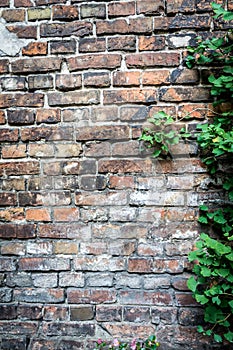 Wall of the Warsaw Ghetto, Poland