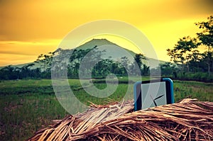 Wall watch on ricefield