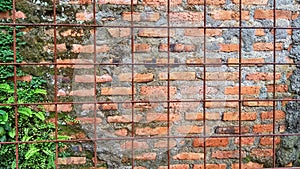 the wall where weeds began to overgrow photo