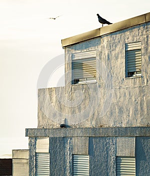 The wall of a white building, the shutters are lowered in front of the windows.